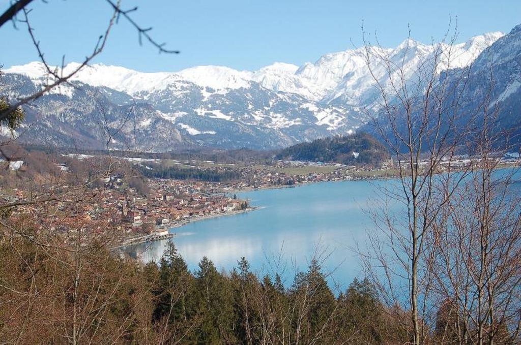Appartement Chalet Sonnenblick à Brienz  Extérieur photo